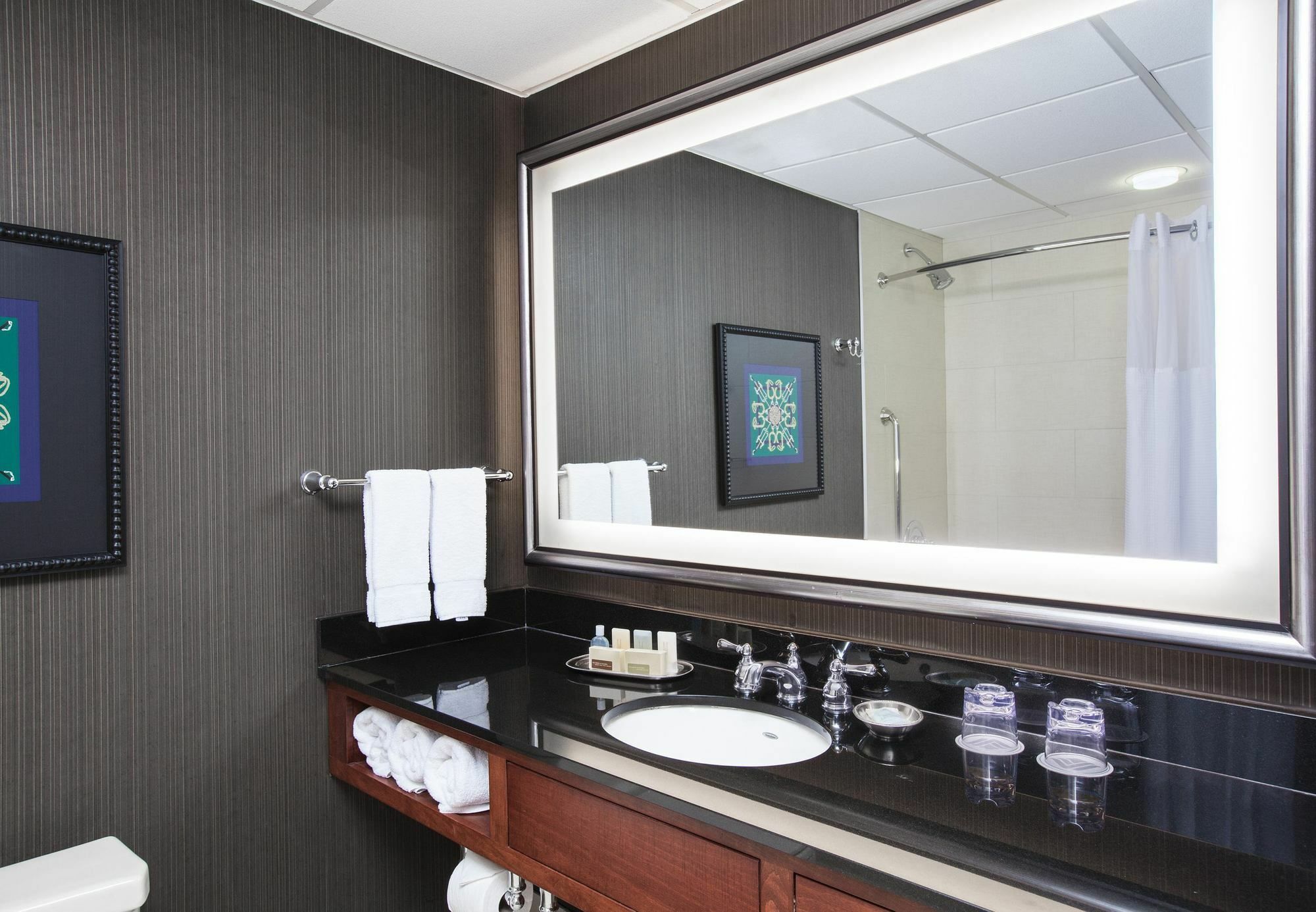 Delta Hotels By Marriott Baltimore Hunt Valley Buitenkant foto
